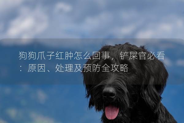 狗狗爪子紅腫怎么回事，鏟屎官必看：原因、處理及預防全攻略