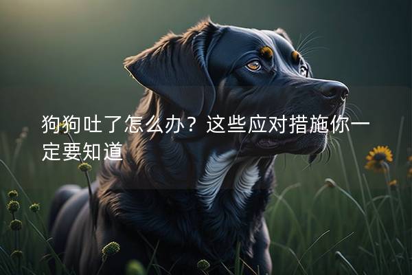 狗狗吐了怎么辦？這些應(yīng)對措施你一定要知道