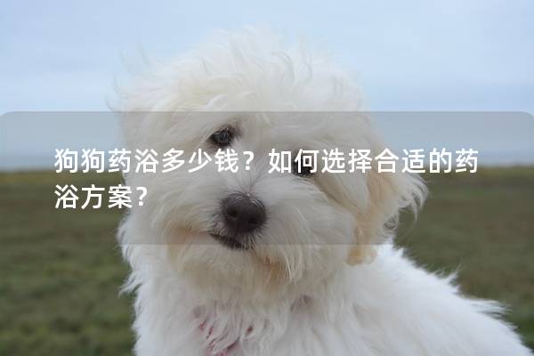 狗狗藥浴多少錢？如何選擇合適的藥浴方案？
