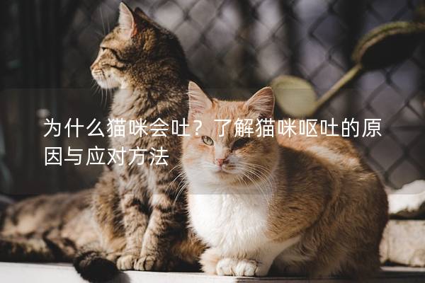 為什么貓咪會吐？了解貓咪嘔吐的原因與應對方法