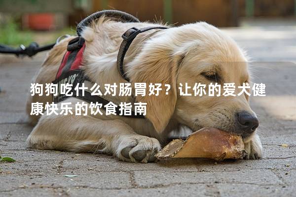 狗狗吃什么對腸胃好？讓你的愛犬健康快樂的飲食指南