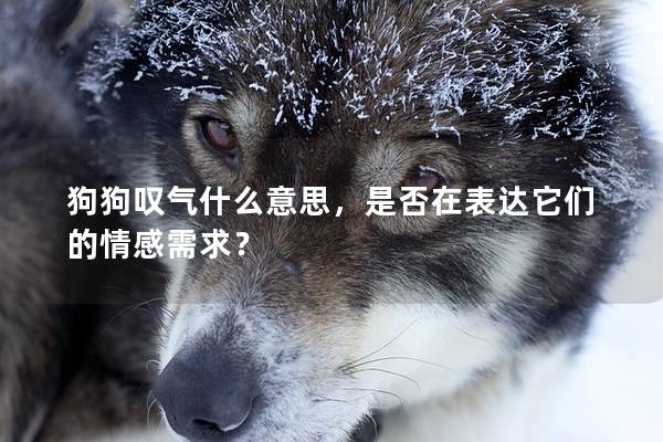 狗狗嘆氣什么意思，是否在表達它們的情感需求？