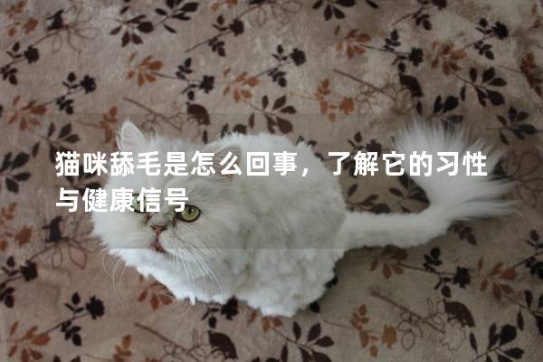 貓咪舔毛是怎么回事，了解它的習性與健康信號