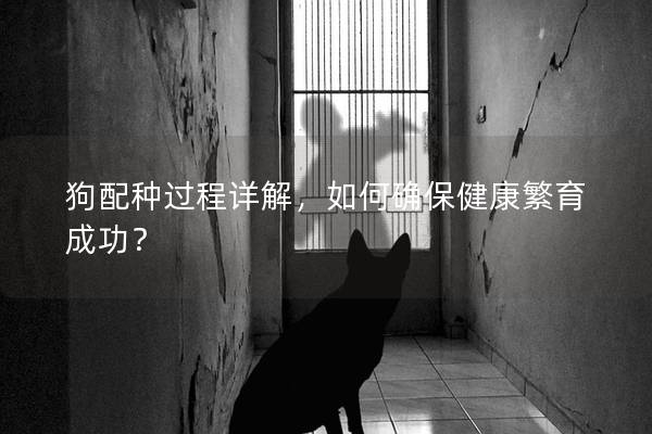 狗配種過程詳解，如何確保健康繁育成功？