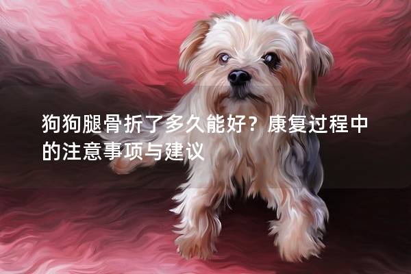 狗狗腿骨折了多久能好？康復過程中的注意事項與建議