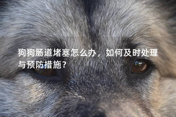 狗狗腸道堵塞怎么辦，如何及時(shí)處理與預(yù)防措施？