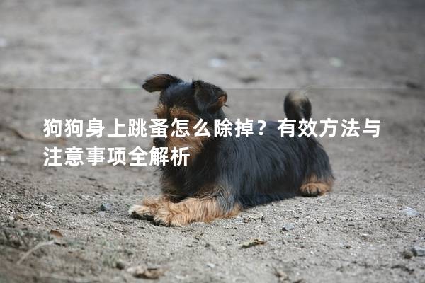 狗狗身上跳蚤怎么除掉？有效方法與注意事項(xiàng)全解析