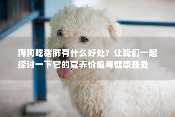 狗狗吃豬肺有什么好處？讓我們一起探討一下它的營(yíng)養(yǎng)價(jià)值與健康益處