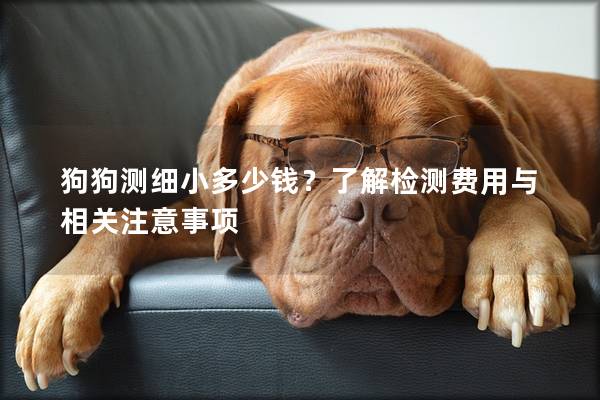 狗狗測細小多少錢？了解檢測費用與相關注意事項