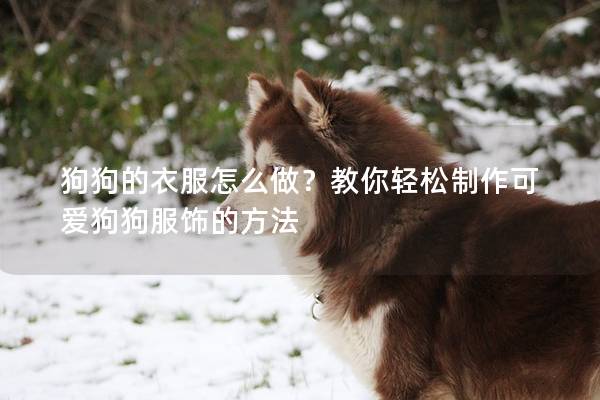 狗狗的衣服怎么做？教你輕松制作可愛狗狗服飾的方法