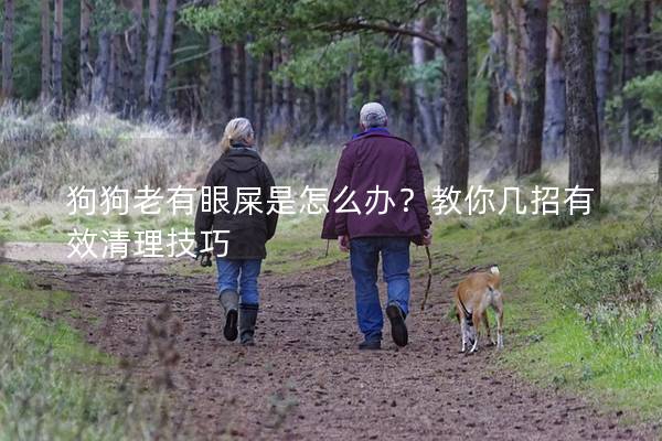 狗狗老有眼屎是怎么辦？教你幾招有效清理技巧