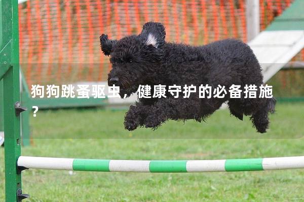 狗狗跳蚤驅蟲，健康守護的必備措施？