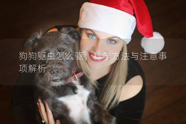 狗狗驅蟲怎么驅，科學方法與注意事項解析