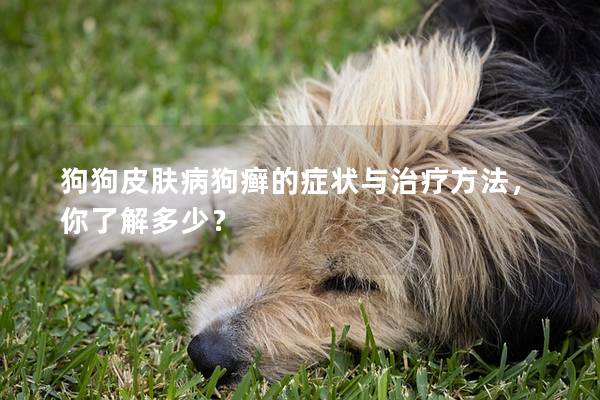 狗狗皮膚病狗癬的癥狀與治療方法，你了解多少？