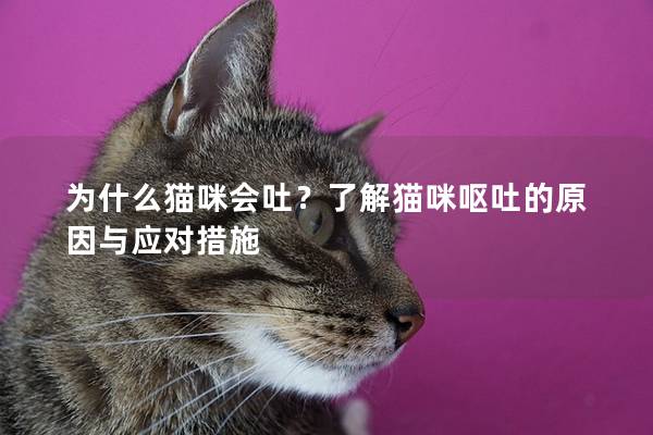 為什么貓咪會吐？了解貓咪嘔吐的原因與應對措施