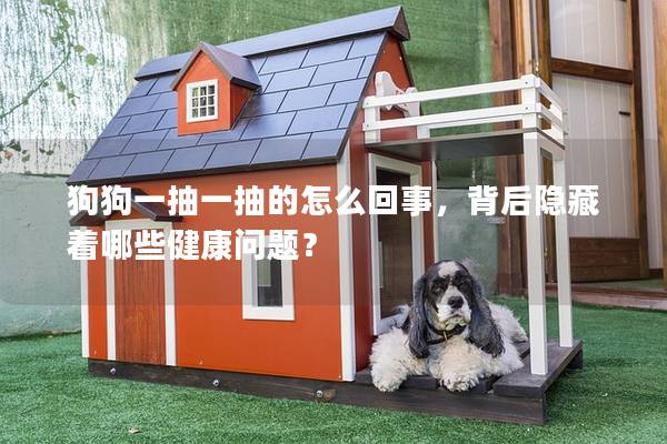 狗狗一抽一抽的怎么回事，背后隱藏著哪些健康問題？