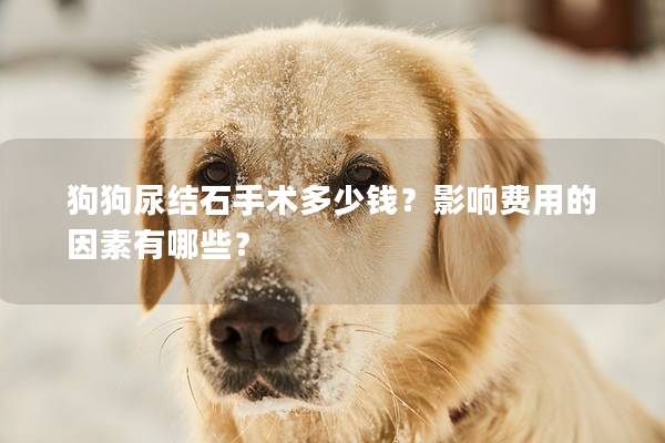 狗狗尿結石手術多少錢？影響費用的因素有哪些？