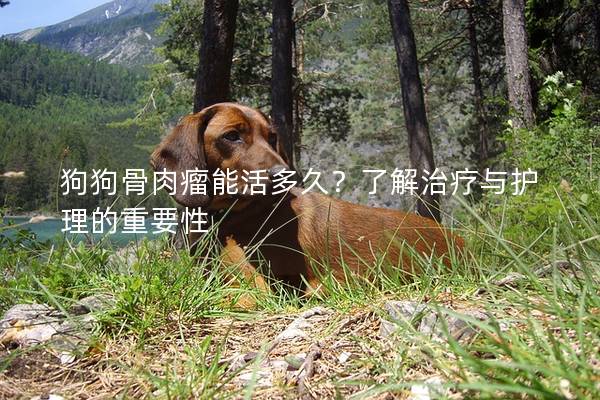 狗狗骨肉瘤能活多久？了解治療與護理的重要性