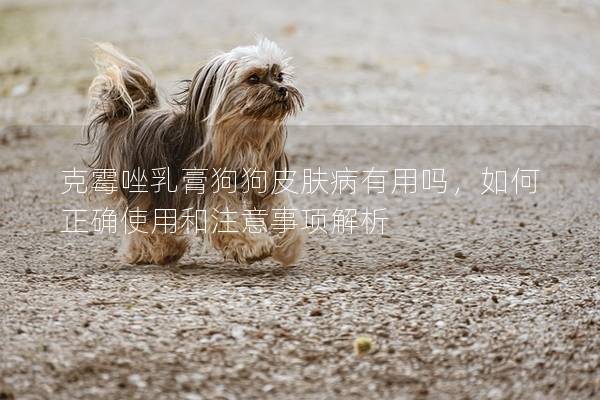 克霉唑乳膏狗狗皮膚病有用嗎，如何正確使用和注意事項解析
