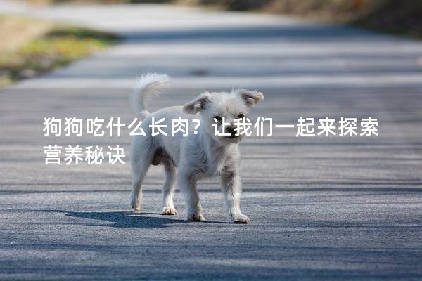 狗狗吃什么長肉?讓我們一起來探索營養(yǎng)秘訣 狗狗吃什么長肉?讓我們一起來探索營養(yǎng)秘訣
