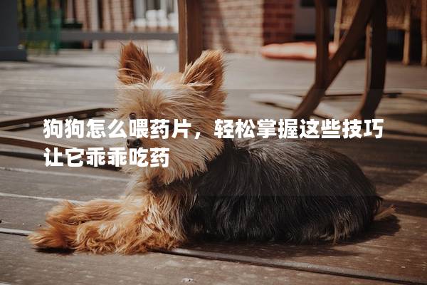 狗狗怎么喂藥片，輕松掌握這些技巧讓它乖乖吃藥