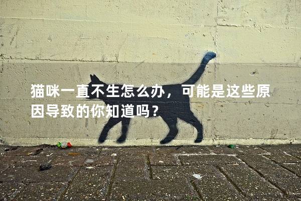 貓咪一直不生怎么辦，可能是這些原因導致的你知道嗎？