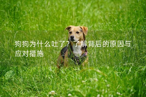 狗狗為什么吐了？了解背后的原因與應對措施