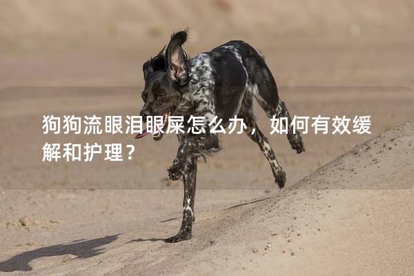 狗狗流眼淚眼屎怎么辦，如何有效緩解和護理？