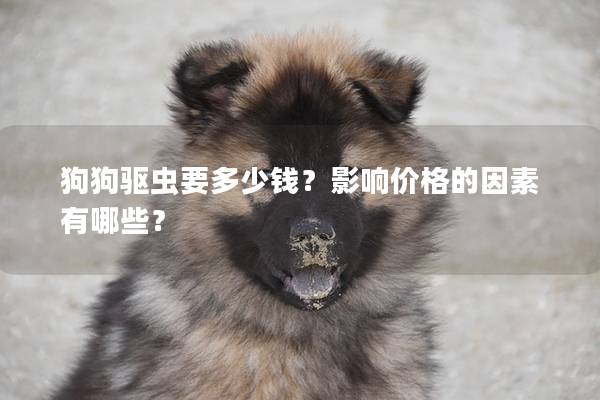 狗狗驅(qū)蟲要多少錢？影響價(jià)格的因素有哪些？