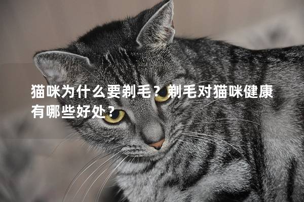 貓咪為什么要剃毛？剃毛對貓咪健康有哪些好處？