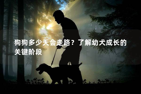 狗狗多少天會(huì)走路？了解幼犬成長(zhǎng)的關(guān)鍵階段