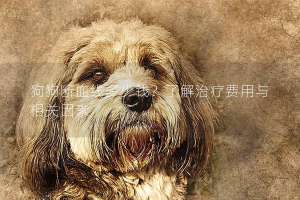 狗狗斷血線多少錢？了解治療費(fèi)用與相關(guān)因素