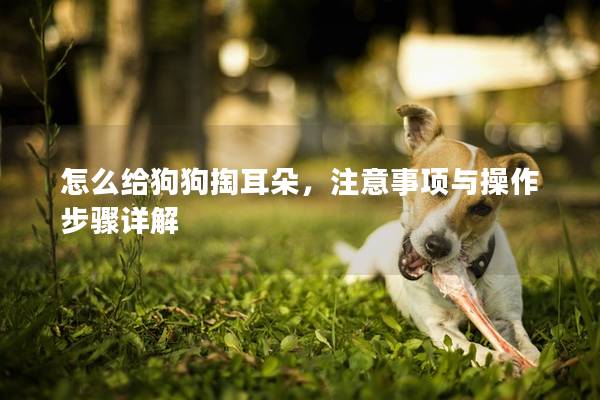 怎么給狗狗掏耳朵，注意事項(xiàng)與操作步驟詳解