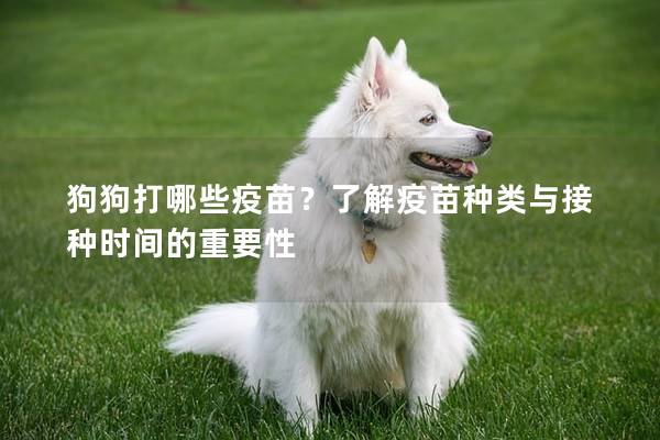 狗狗打哪些疫苗?了解疫苗種類與接種時間的重要性 狗狗打哪些疫苗?了解疫苗種類與接種時間的重要性