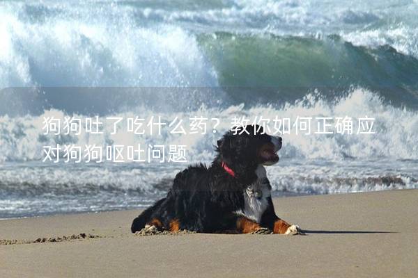 狗狗吐了吃什么藥？教你如何正確應對狗狗嘔吐問題