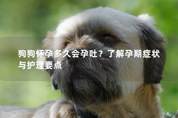 狗狗懷孕多久會(huì)孕吐？了解孕期癥狀與護(hù)理要點(diǎn)