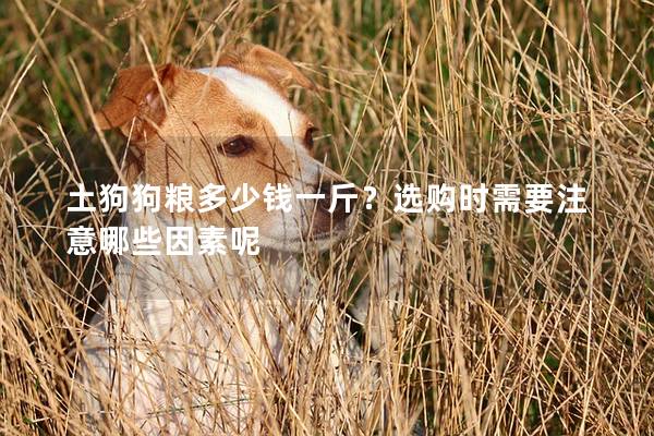 土狗狗糧多少錢一斤？選購時需要注意哪些因素呢