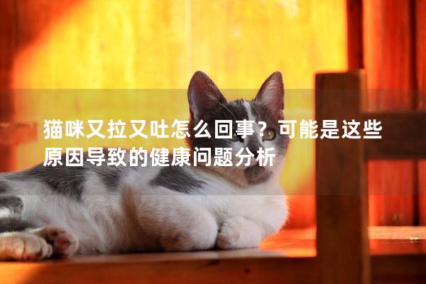 貓咪又拉又吐怎么回事？可能是這些原因導致的健康問題分析