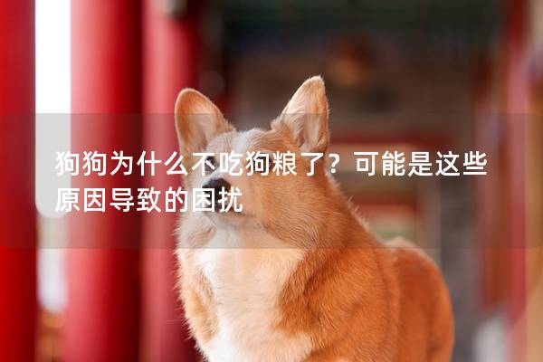 狗狗為什么不吃狗糧了?可能是這些原因導致的困擾 狗狗為什么不吃狗糧了?可能是這些原因導致的困擾