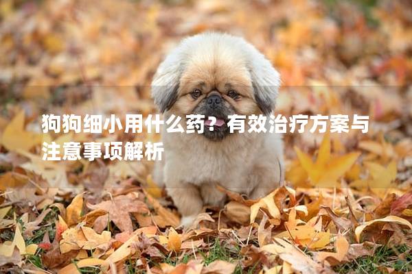 狗狗細小用什么藥？有效治療方案與注意事項解析