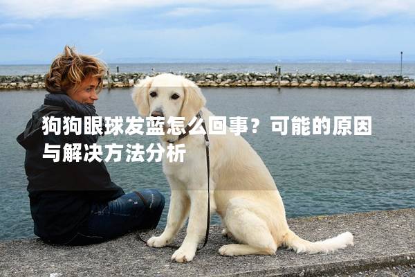 狗狗眼球發藍怎么回事？可能的原因與解決方法分析