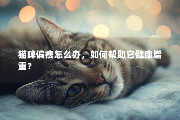 貓咪偏瘦怎么辦，如何幫助它健康增重？