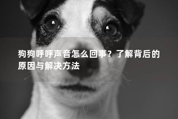 狗狗呼呼聲音怎么回事？了解背后的原因與解決方法