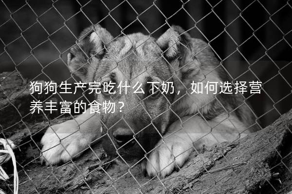 狗狗生產完吃什么下奶，如何選擇營養豐富的食物？