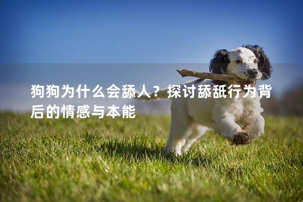 狗狗為什么會舔人？探討舔舐行為背后的情感與本能