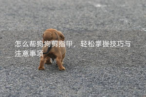 怎么幫狗狗剪指甲，輕松掌握技巧與注意事項