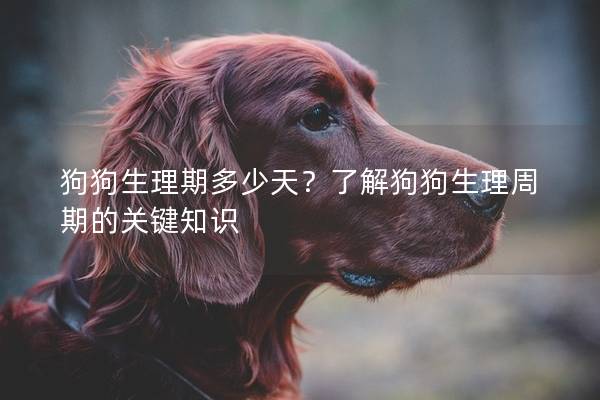 狗狗生理期多少天？了解狗狗生理周期的關鍵知識