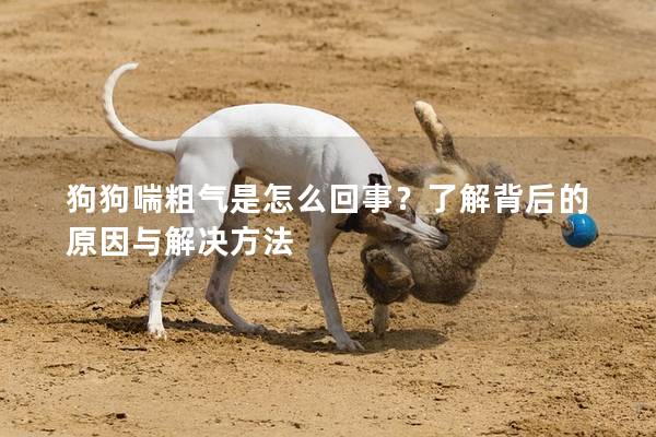 狗狗喘粗氣是怎么回事？了解背后的原因與解決方法