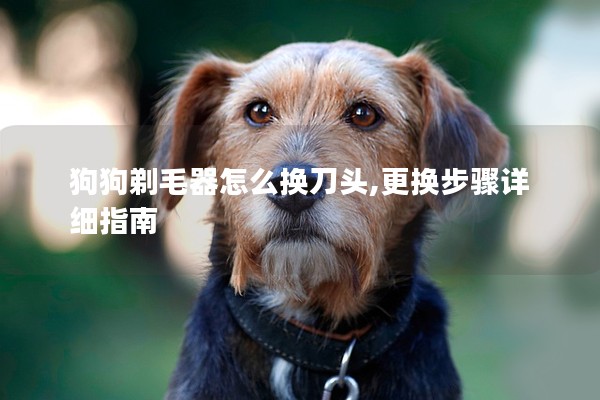 狗狗剃毛器怎么換刀頭,更換步驟詳細指南