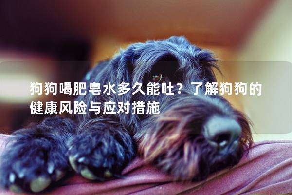 狗狗喝肥皂水多久能吐？了解狗狗的健康風險與應對措施